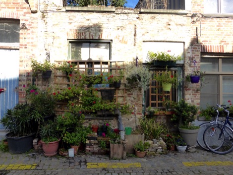 Abandoned house turned into a garden, Bruges